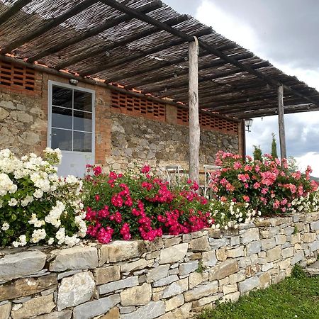 Tregole Lägenhet Castellina in Chianti Exteriör bild