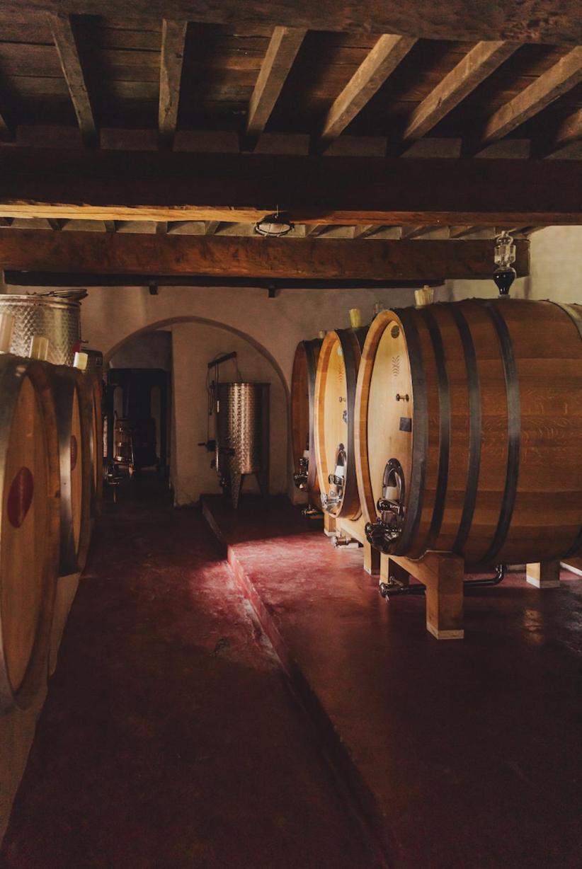 Tregole Lägenhet Castellina in Chianti Exteriör bild